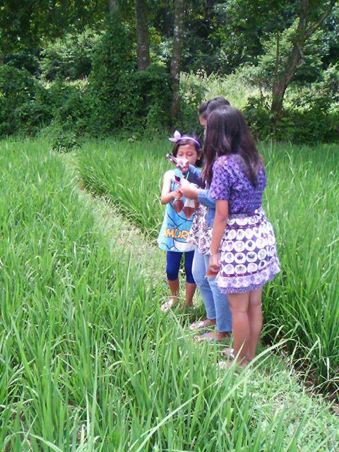 MbahPomo's tweet photo. Jarene pengen selfie neng sawah http://t.co/WoPXhXeKki
