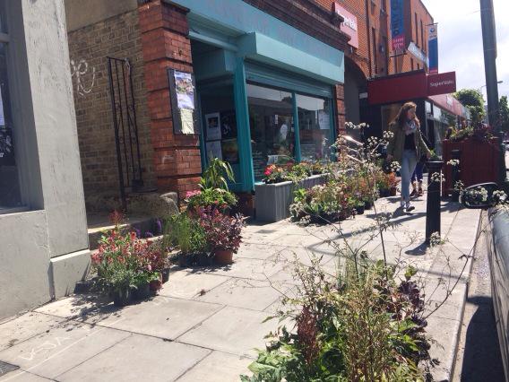 BloomFringe's tweet photo. #greenranelagh Go Ranelagh Tidy Towns! #bloomfringe in the 1st Villages. @greenranelagh http://t.co/aSOZDx1IcR