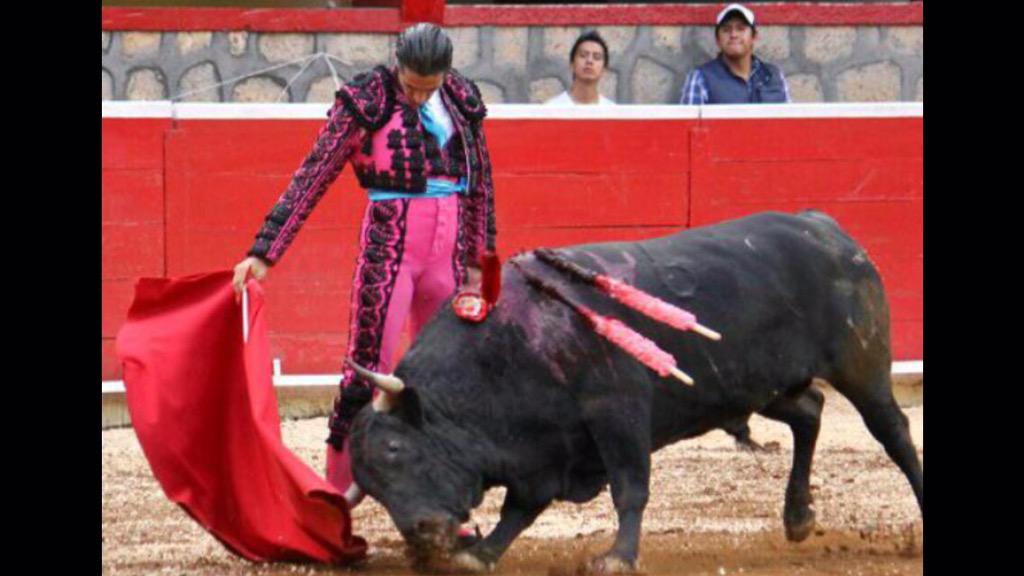 JorgeConD's tweet photo. Me hubiera encantado verlo en Morelia (México)..Q bien q torea @JavierCondeB Viva!!!
CC @EstrellaMorente @RosasRegi http://t.co/8GfL4gqkZd
