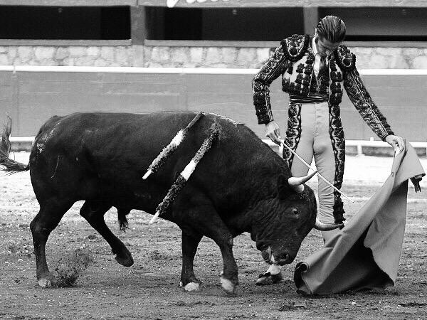 JorgeConD's tweet photo. Me hubiera encantado verlo en Morelia (México)..Q bien q torea @JavierCondeB Viva!!!
CC @EstrellaMorente @RosasRegi http://t.co/8GfL4gqkZd