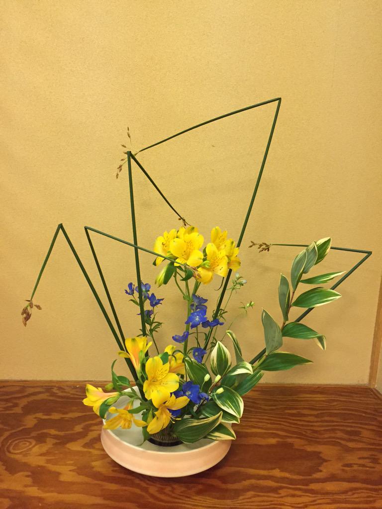 東京外国語大学華道部 自由花の花 材は アルストロメリア デルフィニウム フトイ ナルコユリ でした 今回のデルフィニウムはマリンブルーと呼ばれる青色の花色のものの中でも特に色のきれいな プラチナブルーという色のものだそうです