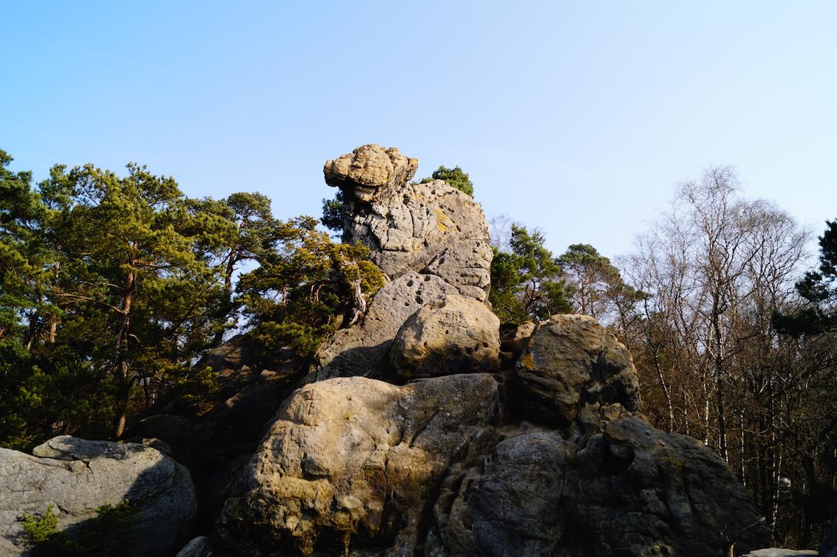 Unterwegzcom's tweet photo. #Wandern bei den #DörentherKlippen in #Ibbenbüren. Tolle Felsformationen &amp; Ausblicke http://t.co/CbF7UCEkCG #outdoor http://t.co/UX5j3P23Ua