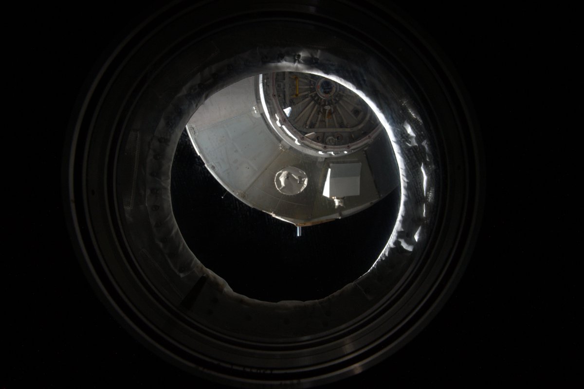 AstroSamantha tweet picture