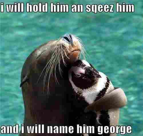 Over50DatingNZ's tweet image. Funny Animal Pics: funny-animals-pics.tumblr.com/post/530428016… #animals #humorous