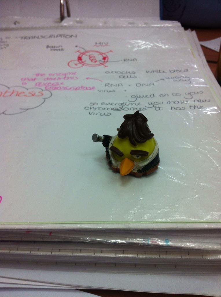 HermioneWebster's tweet photo. Revising with my biology buddy (Barry bond) thankyou Jon! @wforceBiology http://t.co/RlERMP4G2b