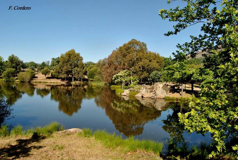 Waysee_es's tweet photo. Cilleros ya está  en la app  #Waysee. Cuando vengáis a Extremadura, no dudéis en visitarlo. http://t.co/vvj6BTVenC http://t.co/WgfFiWalp3