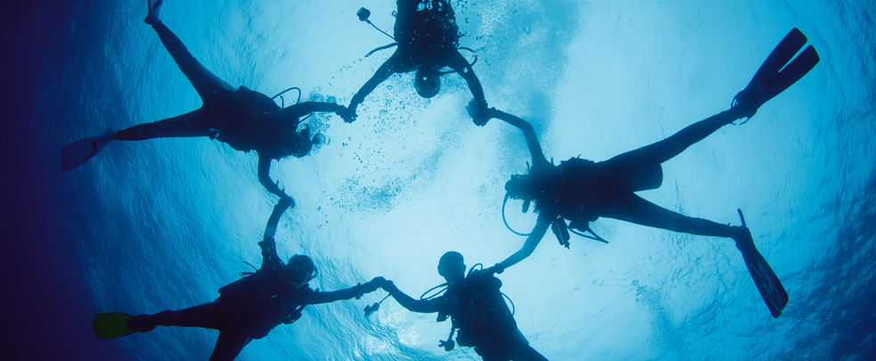 PADI AWARE Foundation tweet media