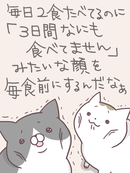 むしろちょっと食べ過ぎだよ 