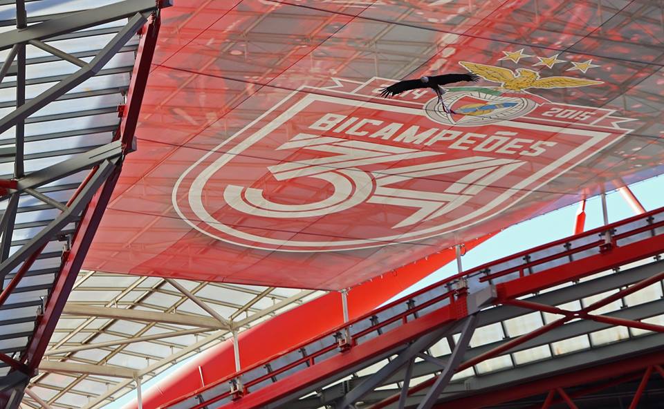 SL Benfica tweet media