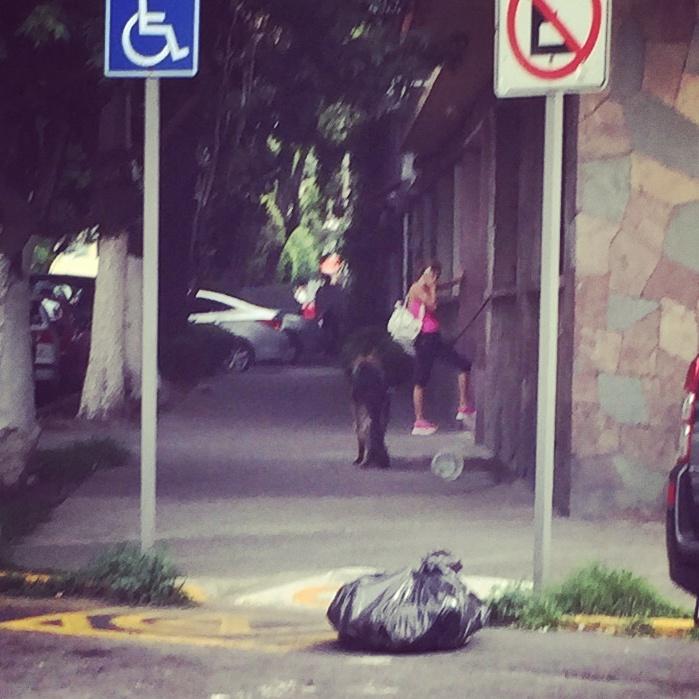 rebeldiana's tweet photo. @DefensaAnimal 1s vecinos diario dejan a su perrito amarrado horas afuera de su casa! Esta en Magdalena 613 - 1! 😢😢 http://t.co/gBhaRd4XIt