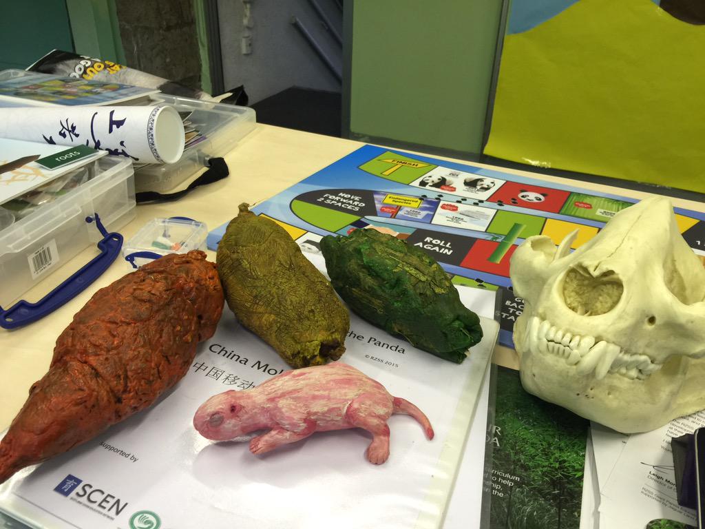 CEC1plus2's tweet photo. Great meeting @edinburghzoo planning for fab #beyondthepanda boxes in schools! #lovetoplan #sharemandarin #1plus2 http://t.co/HkIqo389eu