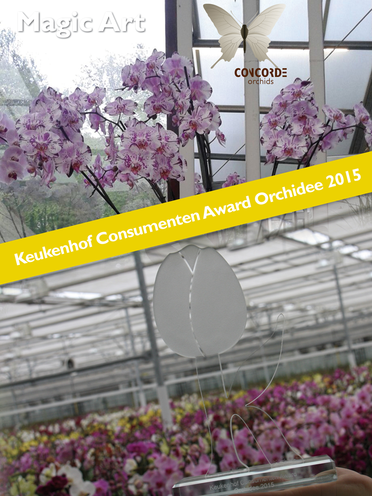 Concorde Orchids tweet media