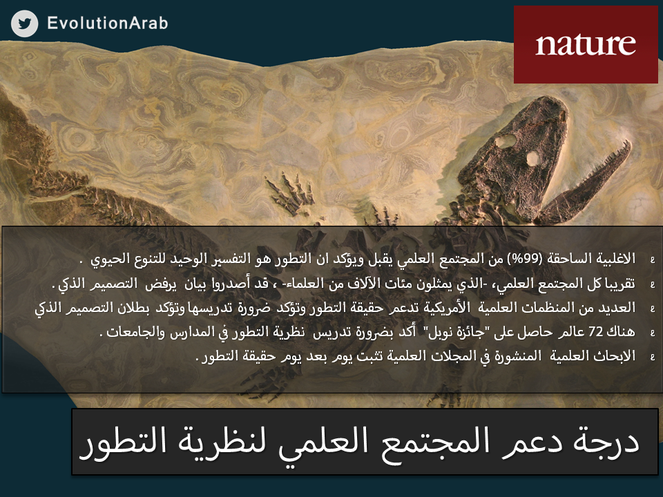 EvolutionArab's tweet photo. درجة دعم المجتمع العلمي لنظرية التطور  #نظرية_التطور http://t.co/a48DsRKvxX