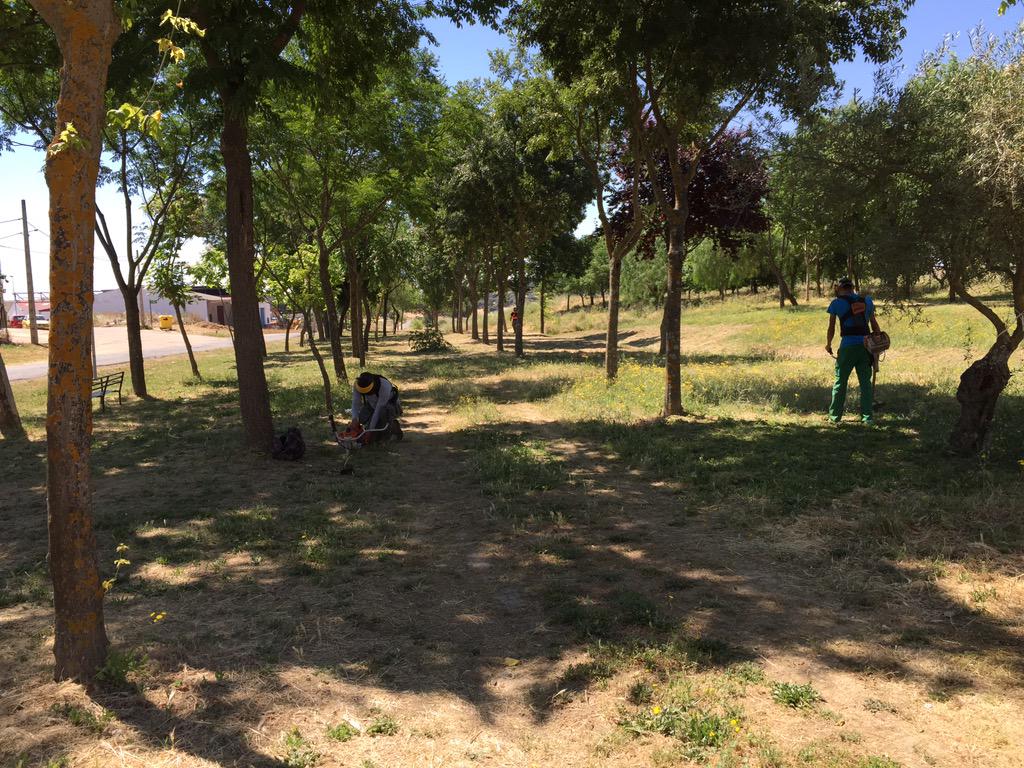 Limpieza y desbroce del área de servicios para Autocaravanas. <a href="/AytoLogrosan/">Ayto. Logrosán</a> <a href="/VilluercasGPark/">Villuercas-Ibores-Jara Geoparque Mundial UNESCO</a>