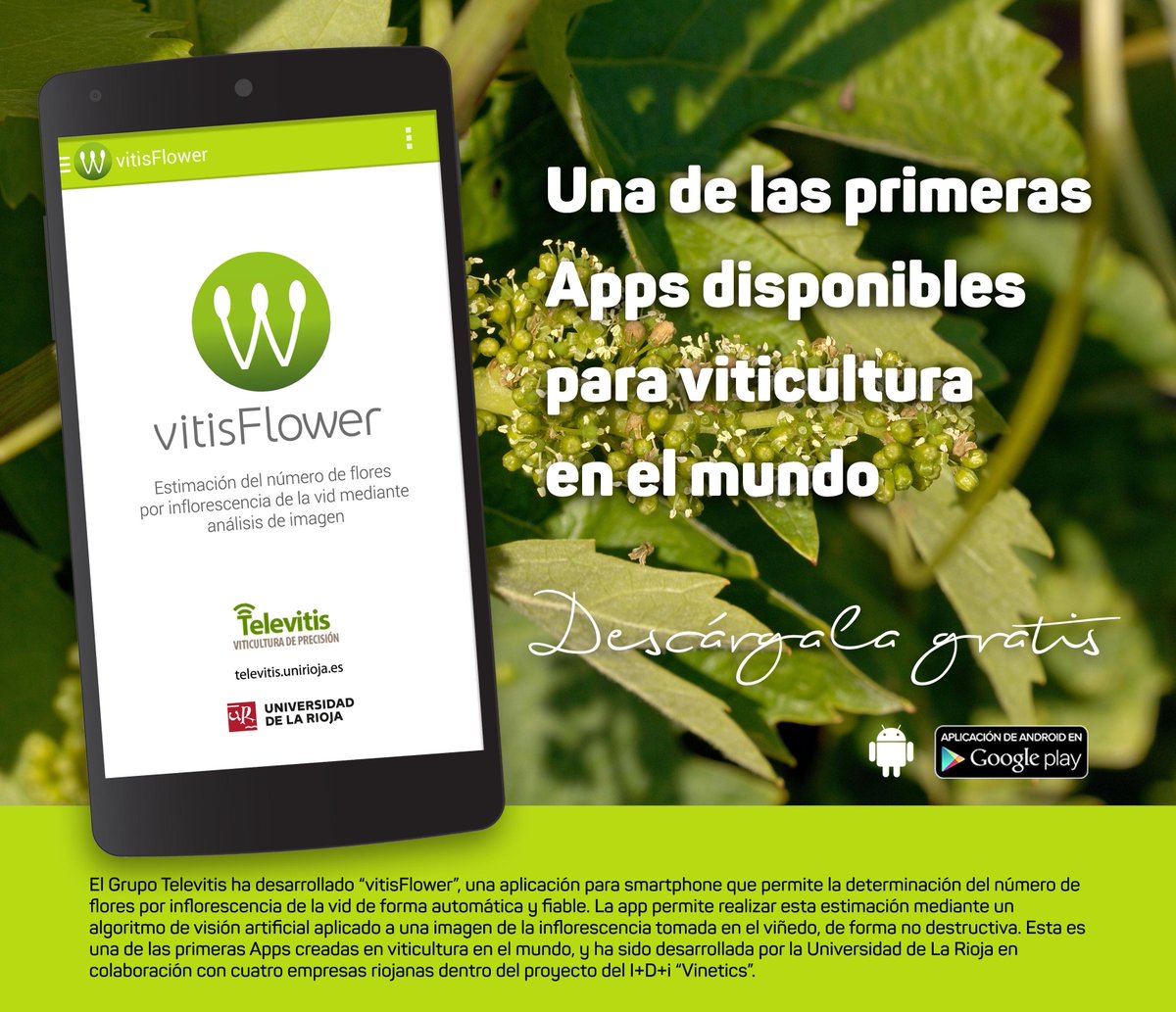 unirioja's tweet photo. Te presentamos la app VitisFlower, un hito tecnológico en la viticultura mundial http://t.co/P8z32Pflfc @Televitis http://t.co/NiGw0ZSyFB