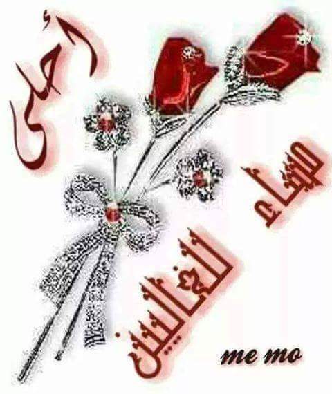 husseinalbassr's tweet photo. http://t.co/ylLWCLxsM7