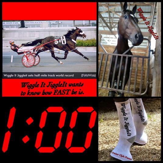 vnssa926's tweet photo. Wiggle It JiggleIt wants to know how fast he is. Saturday 12th race #7post him and Freaky Feet Pete @HarnessRacingFZ http://t.co/QoJdoqVIjM