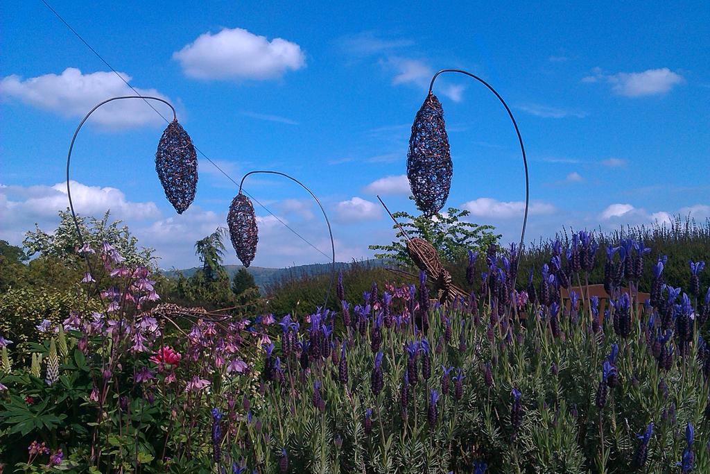 Finished these #wirefritilleries :) #WhatArtistsReallyDo #sherborne #dorsetarts