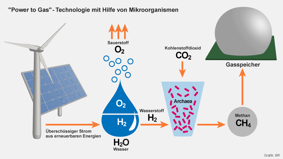 BR24's tweet photo. #PowerToGas: Wie Energie künftig gespeichert wird - mit Bakterien! http://t.co/JGGlbDLyV2 http://t.co/ZcqzF8J8EO