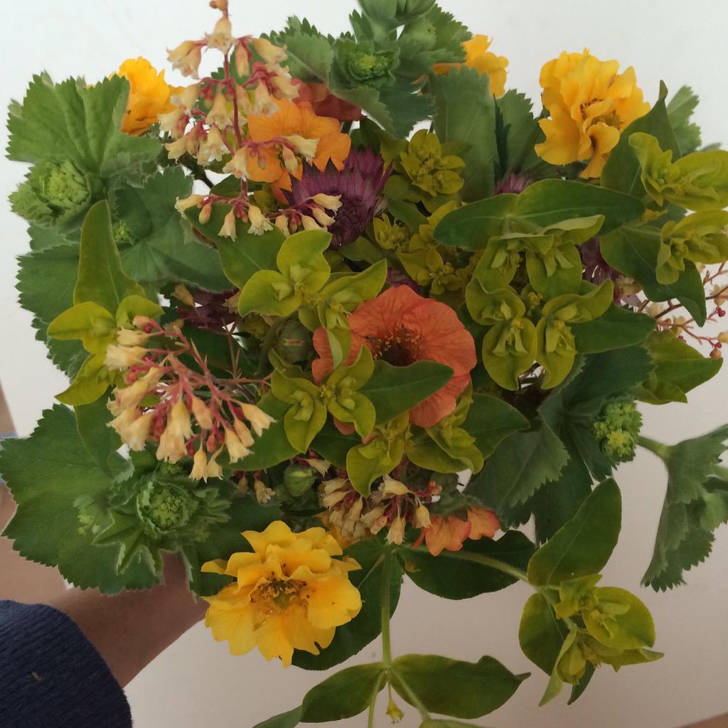 honestmumma's tweet image. Handful of happiness! #happygarden #contagioussmiles