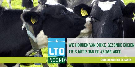 Laat uw koeien zien op social media, er is meer dan #Zemblakoe. Op deze manier laten we samen het juiste beeld zien!