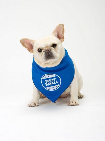 Carna4natural's tweet photo. SMALL stores pack BIG knowledge!  We support innovative &amp; independently owned pet food stores. #shopsmall http://t.co/WSBu7yLUt3