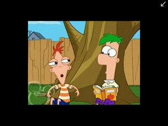 TusFrasesDisney's tweet photo. Eres más feo que Phineas de frente: http://t.co/YLKsvNaGAh