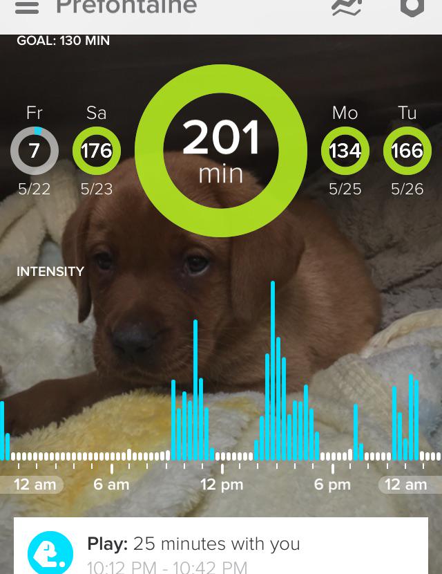 Check out the highlights of Prefontaine 's day with Whistle
#dogslovewhistle whi.st/s/4iwhld