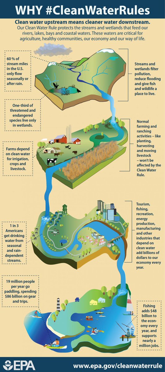 DelawareEstuary's tweet photo. Home run for wildlife. @EPA protects 60% of nation’s streams and 20 million acres of wetlands. #CleanWaterRules http://t.co/SAe1MxcFMs