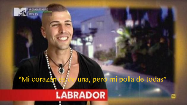 PostureoEspanol's tweet photo. LABRADOR, FILÓSOFO Y ROMANTICO ESPAÑOL DEL SIGLO XXI. http://t.co/5W9W96qPWb