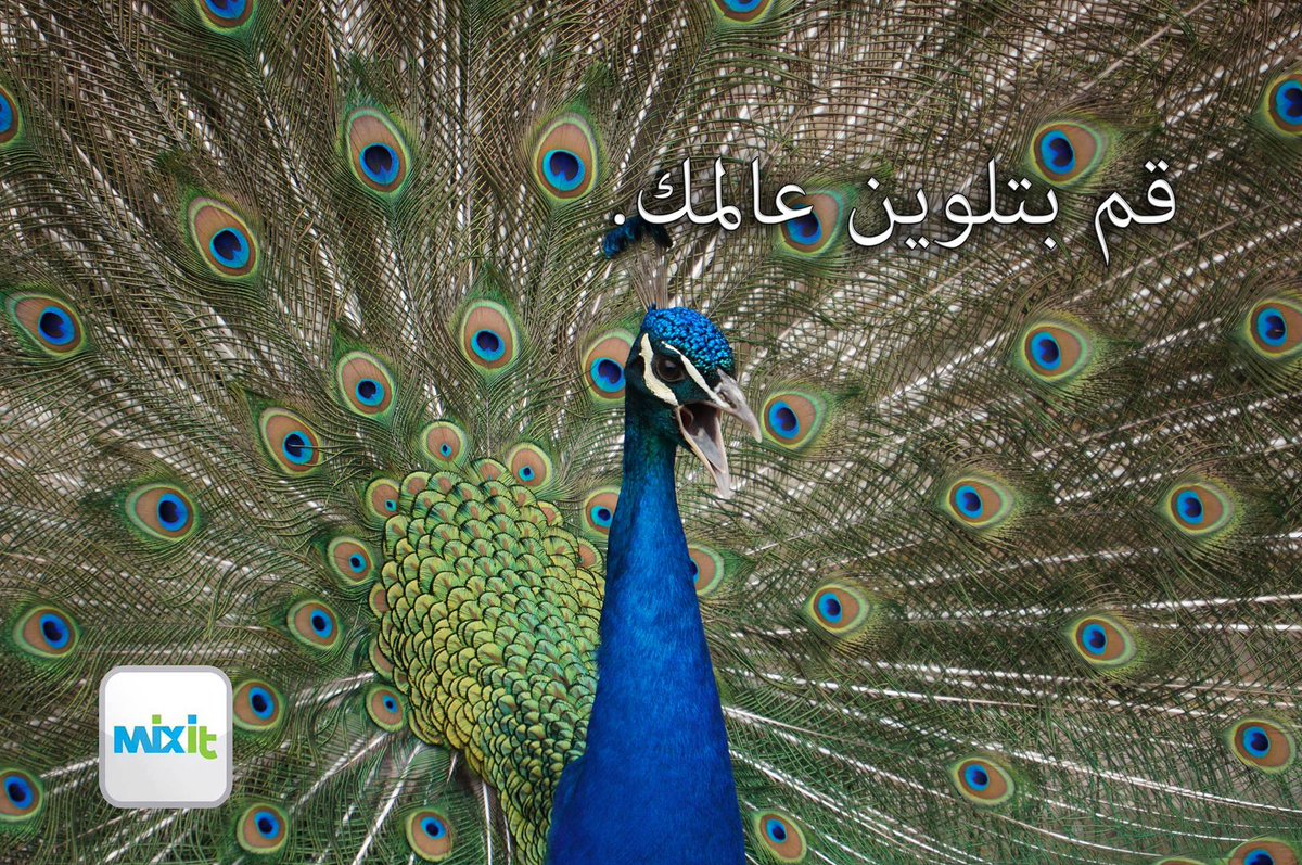 MixitApp tweet picture