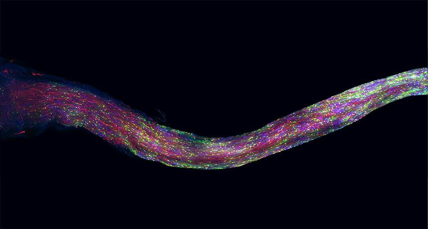 Science News tweet media