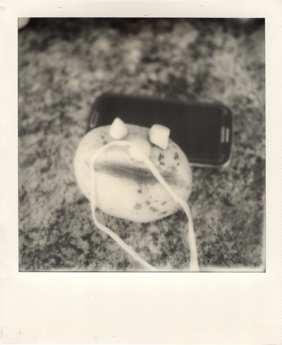 Sooooooooooo, this is just a Polaroid of a potato that kind of looks like it has a face. #potatoface