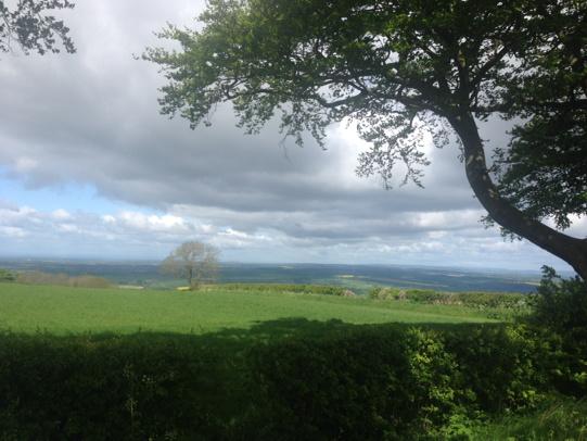 GranaryHoliday's tweet image. #Leavening Brow, good view today