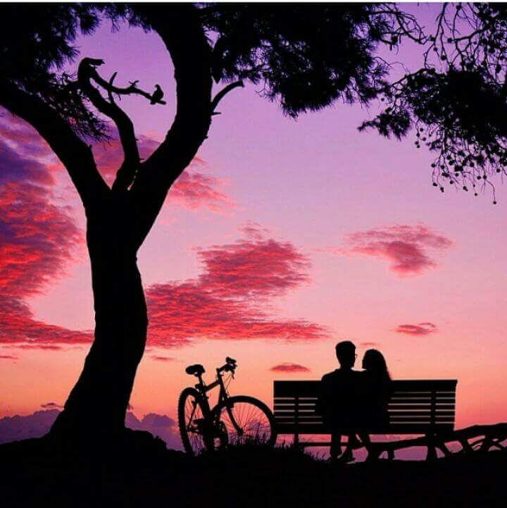 iolene tabosa silva tweet media