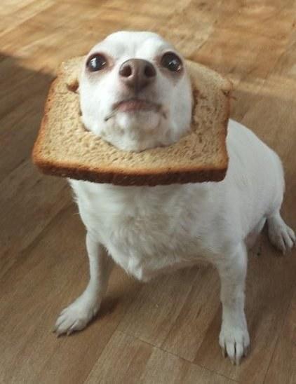 CandyNatrix's tweet image. Menamorao