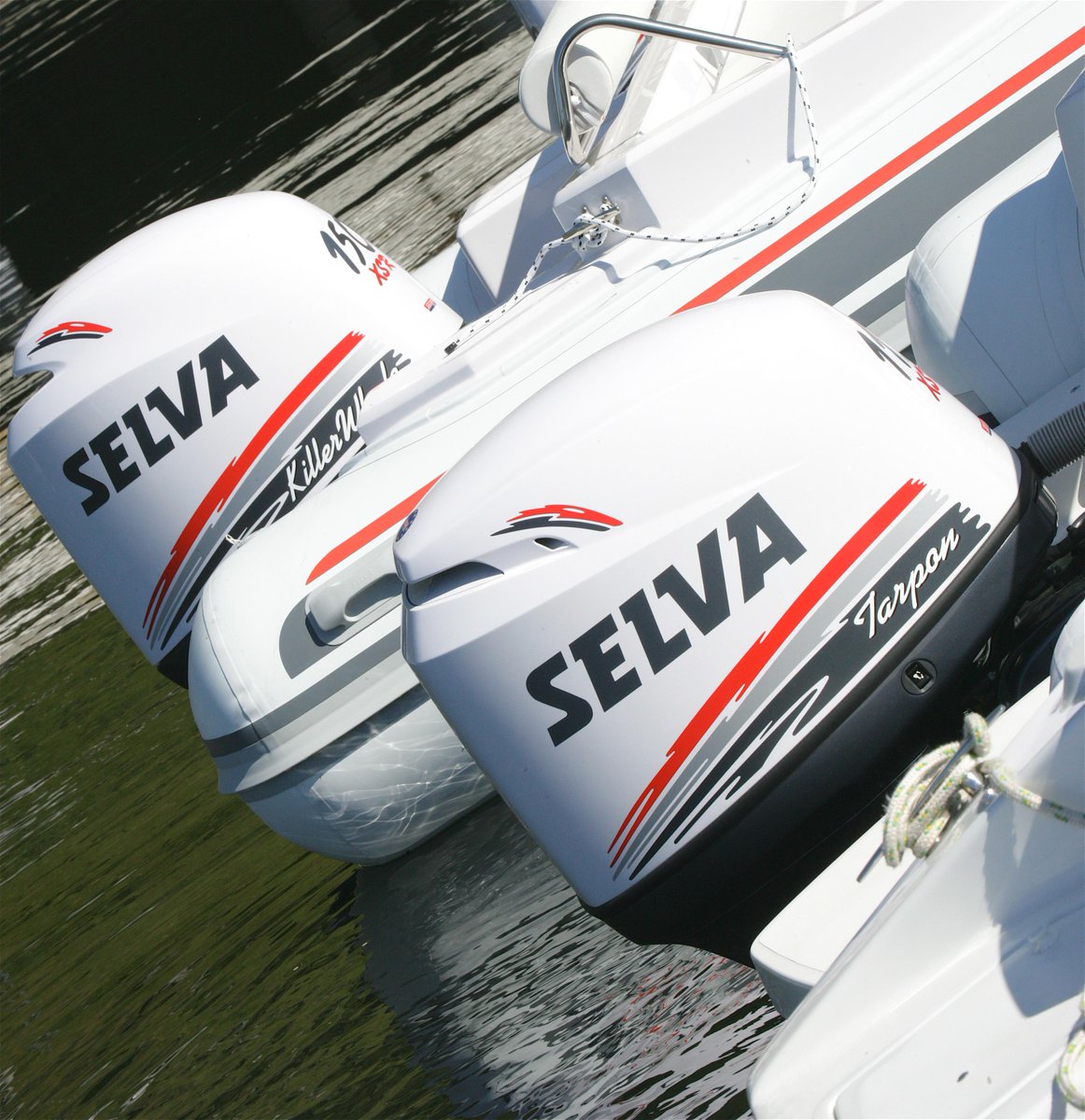 Selva Marine tweet media