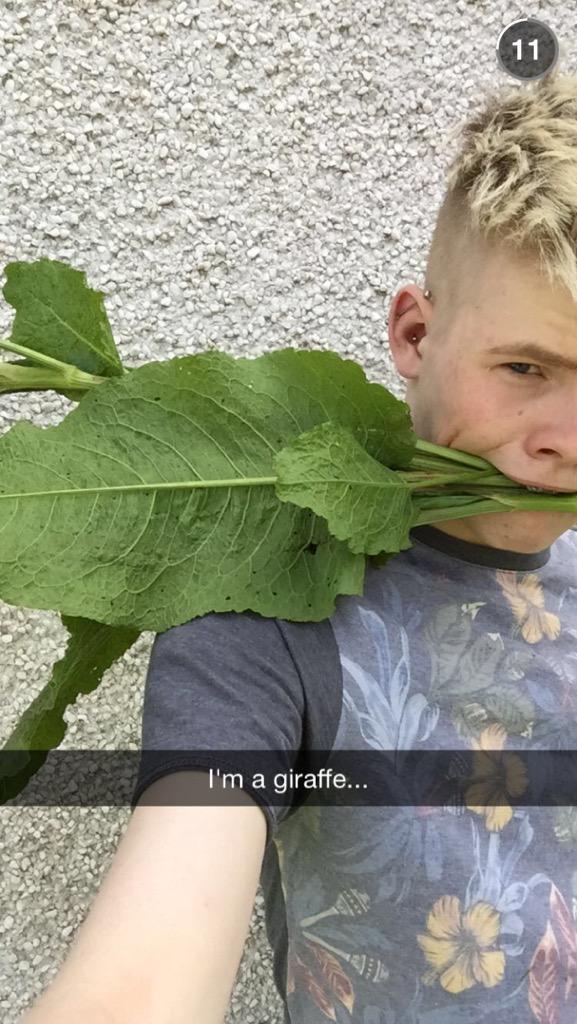 gobbygamage's tweet photo. Because why not?😂😊 @kanelarks http://t.co/tGww96exLu