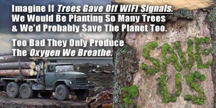 DavidKatzPB's tweet image. Imagine if trees gave off WIFI. We'd be planting so many trees. To bad they only make oxygen buff.ly/1BO3FQU