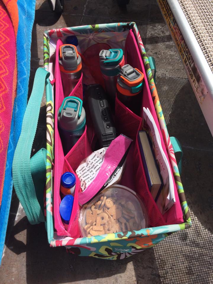 thirty one beach bag