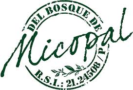 Y del "Bosque de Micopal nos llega el maridaje perfecto para los mejores vinos, al XVII Concurso Regional Sumilleres