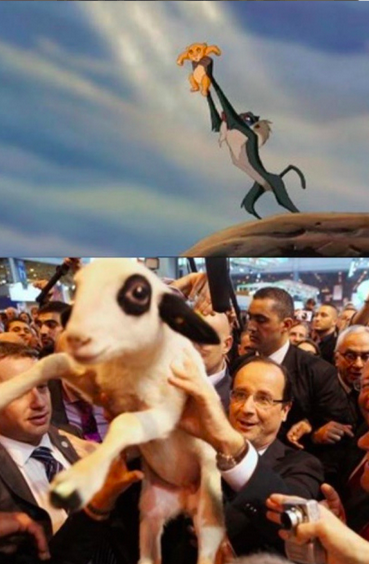minutebuzz's tweet photo. C’EST L’HISTOIIIIIIIIRE DE LA VIIIIIIIE ! http://t.co/9yFwMzAHtt