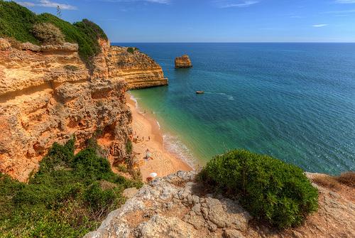 Zen Paisajes tweet media