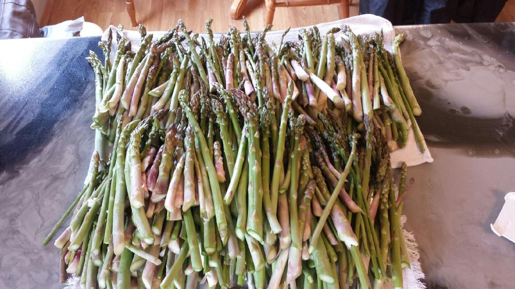 Karen has been busy picking wild asparagus