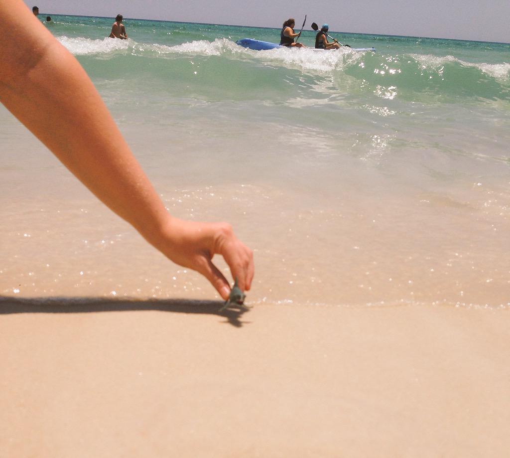 SuCoBruce's tweet photo. #ThrowbackThursday to being saved from those crazy big waves! 🌊 #ThatWasClose http://t.co/OK6P0P2pMN