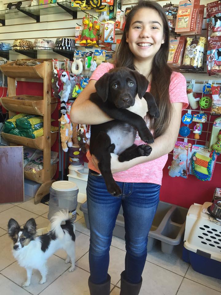 PetShoppe tweet media