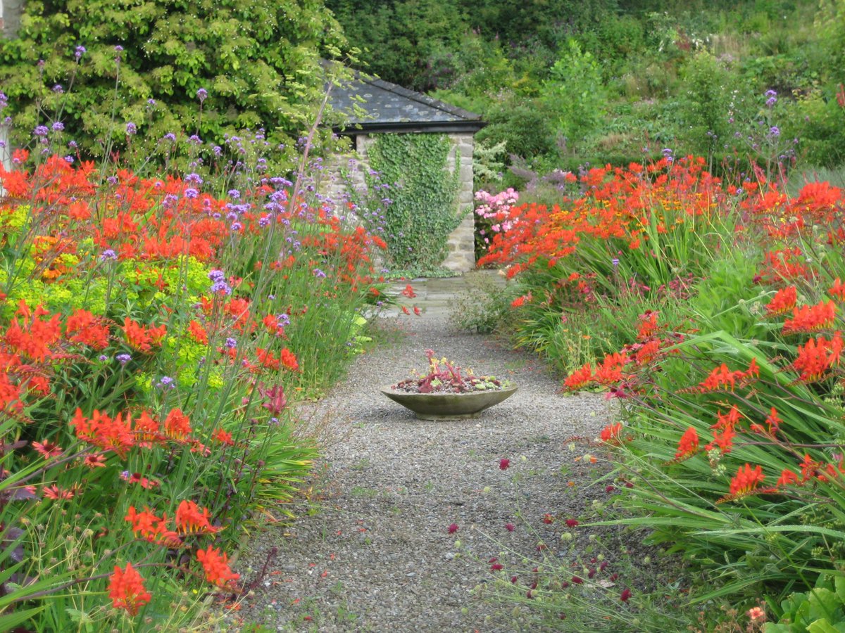 Wonderful Rhodds Farm opening for NGS 5th June - and featured in <a href="/gardensinwild/">Gardens in the Wild</a> 20/21 June. See you there.