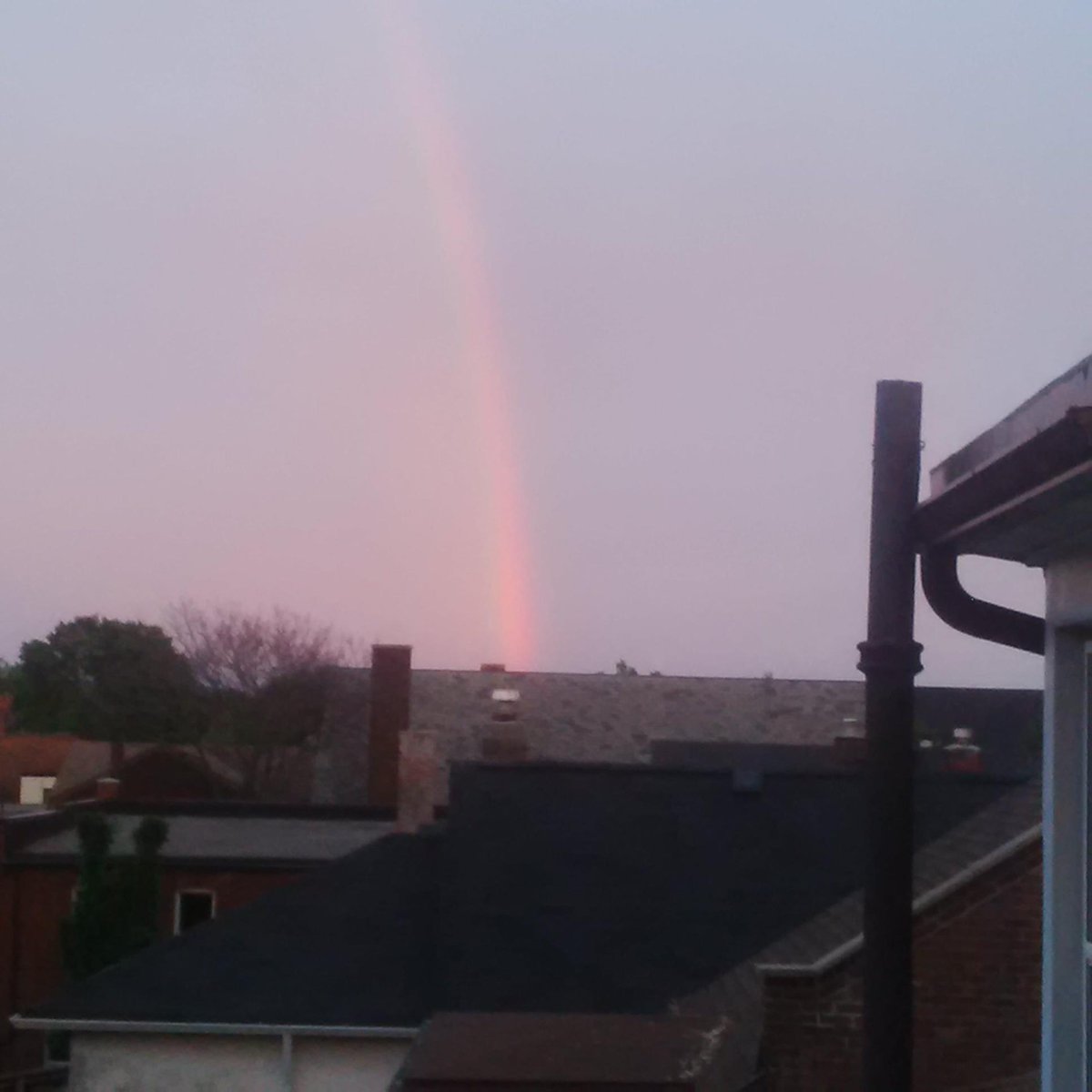 Dylan Murray (@dylanment) on Twitter photo 