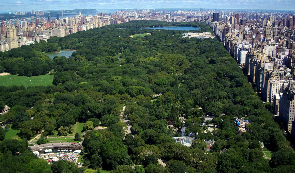 FallWebDesign's tweet image. Feels like summer in #NYC! Get out and play and let me make you money while you sleep! fallwebdesignandoptimization.com