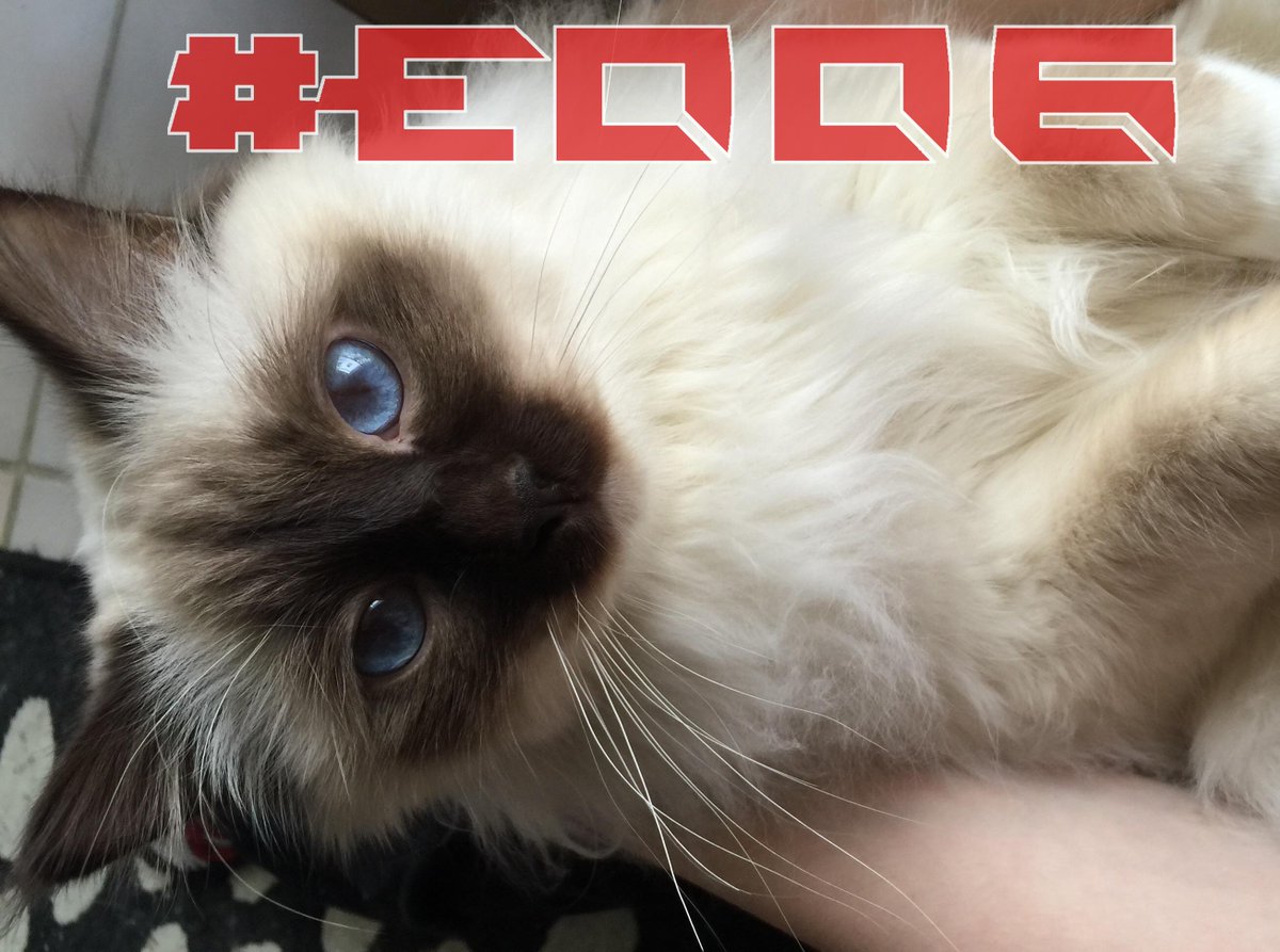 Mathieu_Sommet's tweet photo. Sixième épisode de l'Envers du Décor en préparation, posez toutes vos questions en utilisant le hashtag #EDD6 http://t.co/uKLSF7c9av